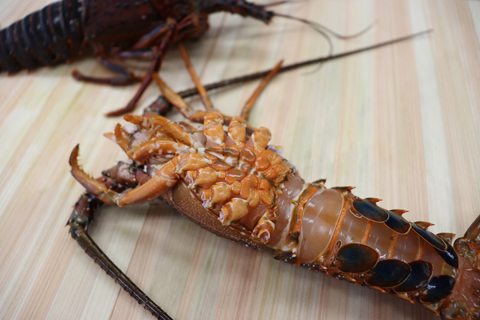 バタバタしたら角と足がとれちゃいました 活冷伊勢えび 2?7尾(1.0kg)