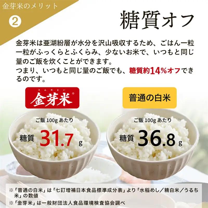 【定期便】BG無洗米・金芽米つや姫 5kg×3回 （隔月）計量カップ無し 令和7年産 2ヶ月に1回 6ヶ月 計15kg 東洋ライス 健康 島根県 安来市 【価格変更】【45-SS-45-2】