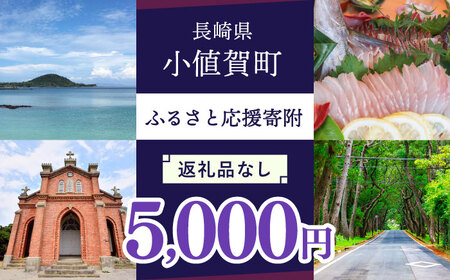 【返礼品なし】長崎県町 ふるさと応援寄附金（5,000円分） [DYZ004]