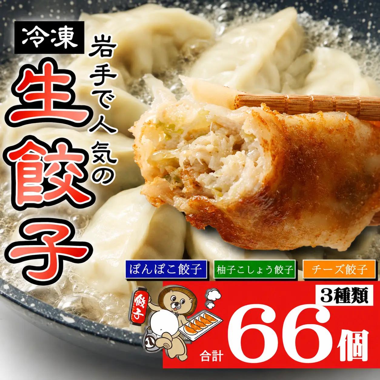 国産 冷凍 生餃子 食べ比べ 3種 計66個 【生餃子専門店ぽんぽこ】