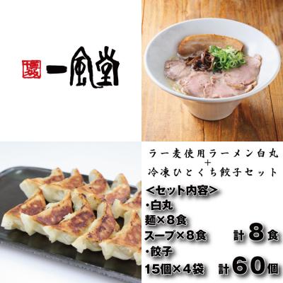 ふるさと納税 新宮町 【一風堂】白丸ラー麦麺8食とひとくち餃子4袋セット【豚骨ラーメン】.AD250