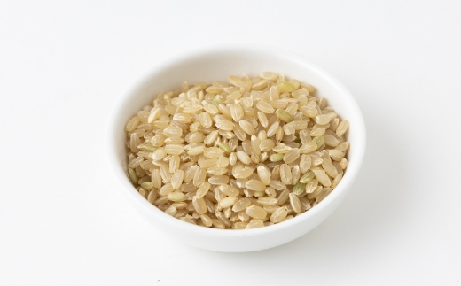 【12ヶ月定期便】みずほファーム UKIHA RICE (玄米5kg×12ヶ月)  【2025年11月より順次発送予定】 米 ヒノヒカリ  玄米 お米 ご飯 うきは市