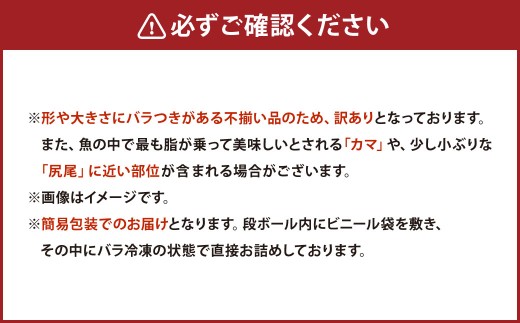 【 訳あり 】 プレミアム1級品 厚切り塩銀鮭 切り身 1.5kg 鮭 銀鮭 塩鮭 しゃけ シャケ さけ サケ 魚 切身 訳アリ 厚切 冷凍 おかず
