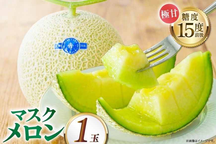 
AB010 その道一筋の生産者がじっくり丁寧に育てた　マスクメロン 1玉入
