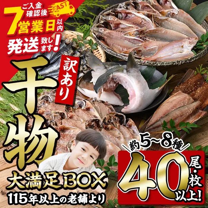 ＜訳あり＞ 干物大満足BOX (40尾以上・5-8種) スピード発送 【AQ68】【やまろ渡邉】