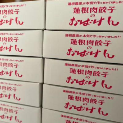 ふるさと納税 鹿嶋市 【大満足】蓮根肉餃子のおばけん【140粒】 |  | 01