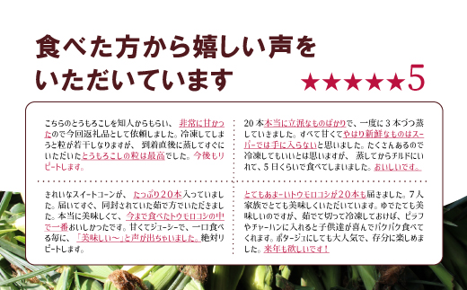 《先行受付開始》朝採れスイートコーン ゴールドラッシュ 10本セット とうもろこし《2026年7月中旬-8月中旬出荷》 ---ubuyama_jmn_2_10p---