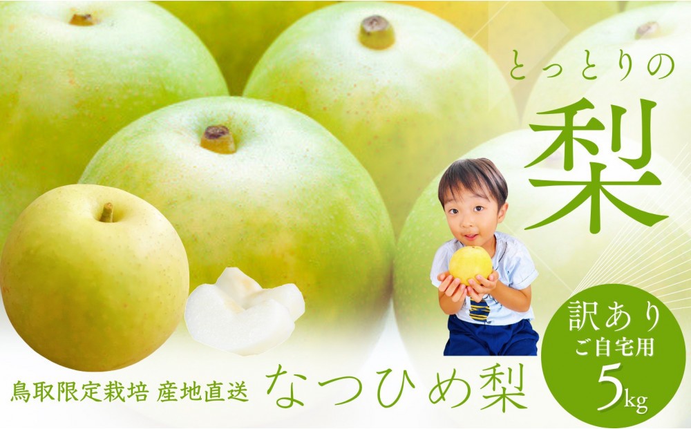 
                  鳥取県産 梨 訳あり ご自宅用 なつひめ 5kg | 梨 なし ナシ フルーツ 果物 訳あり ご自宅用 季節限定 産地直送 お取り寄せ 人気 おすすめ 鳥取県 境港市　　
                