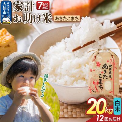 ふるさと納税 大仙市 定期便12ヶ月 白米 家計お助け米 あきたこまち 20kg  R8年|22_kml-062012