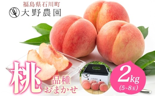
                  桃 2kg 品種お任せ 5～8玉 ｜ もも 旬 ランダム 果物 フルーツ 完熟 ピーチ 産地直送 新鮮 大野農園 福島県 石川町【19002】
                