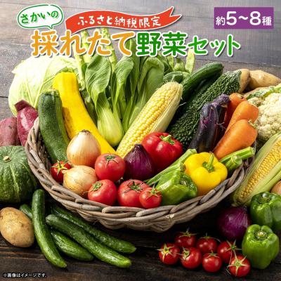 ふるさと納税 境町 【ふるさと納税限定】さかいの採れたて野菜セット