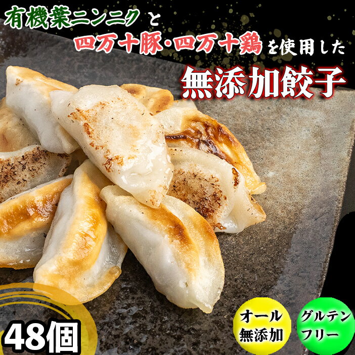 【ふるさと納税】 有機 葉 ニンニク と 四万十 豚 で作った 最高級 餃子 （ 6個 x 8パック ）ぎょうざ ギョウザ にんにく 高知 野菜 EA0261_2x