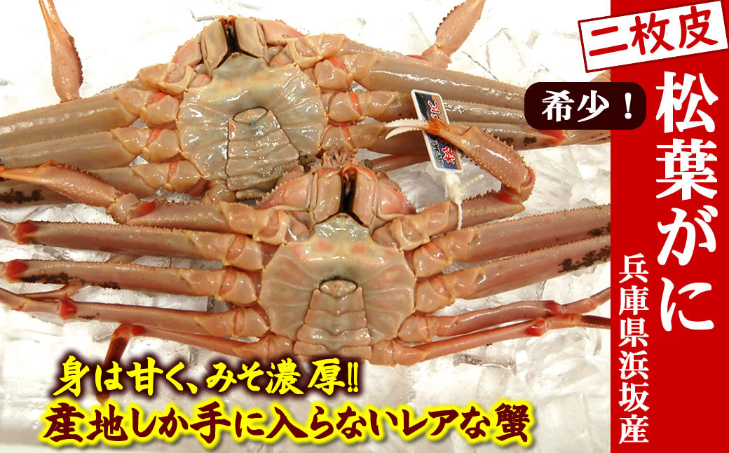 
                  【数量限定】希少な松葉がに(ボイル冷凍)2枚　産地しか手に入らない脱皮直前のレアな松葉がに　ソフト蟹
                