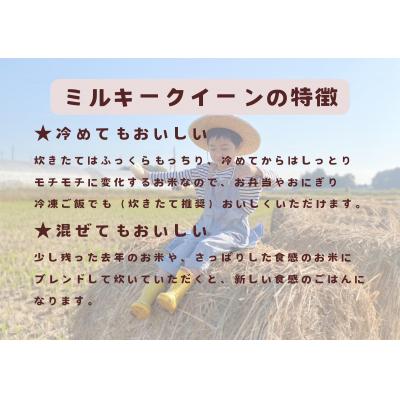 ふるさと納税 栃木市 【令和7年産】栃木市岩舟町産ミルキークイーン5kg【精米】 |  | 01