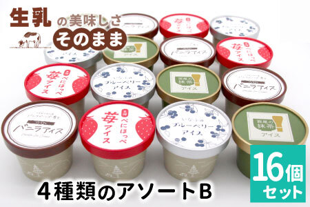 〈1週間以内発送〉4種類のアソート B　16個入り アイスクリーム アイス バニラ マダガスカル産 ブルーベリー 稲武 紅ほっぺ 苺 いちご 紅ほっぺいちご 西尾抹茶 抹茶 牛乳 アイス ミルク 10000円 10,000円 