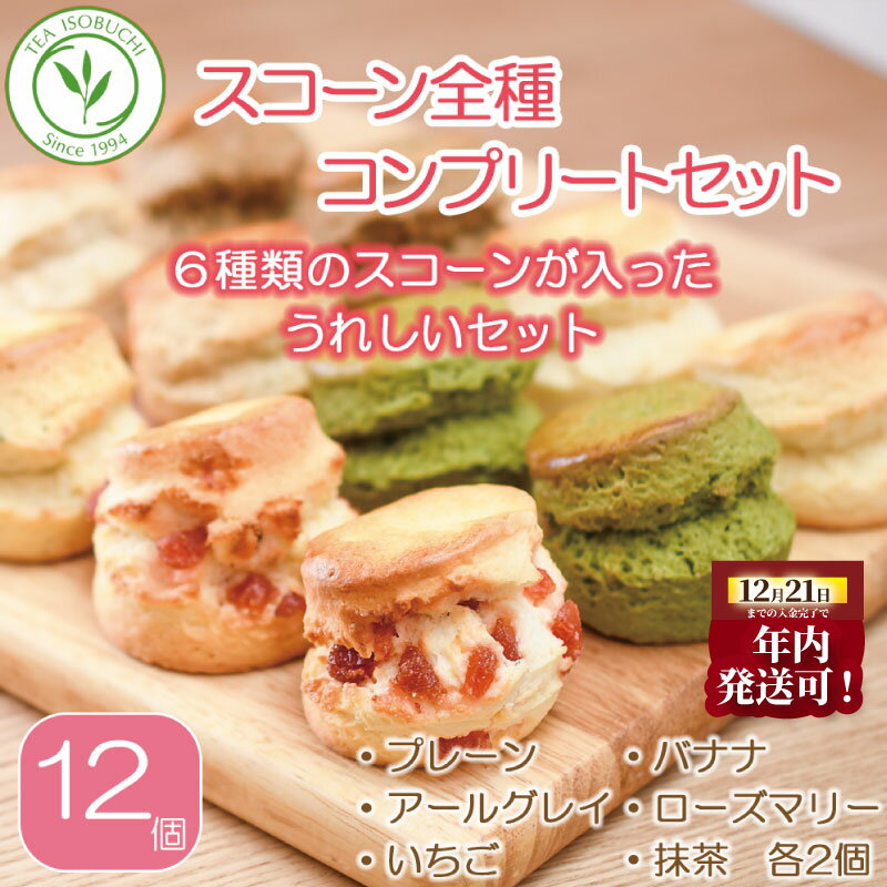 【ふるさと納税】 年内発送 ! (12/21 決済完了分まで) スコーン 6種 × 2個 12個 セット お菓子 焼菓子 おやつ 菓子 菓子 おかし おやつ デザート スイーツ プレーン アールグレイ いちご バナナ ローズマリー チーズ 抹茶 すこーん ミルクティー 紅茶 茶 神奈川 湘南 藤沢