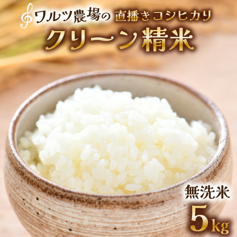 【ふるさと納税】【先行予約】【令和8年産 新米】ワルツ農場の直播き コシヒカリ クリーン精米（無洗米） 5kg / お米 ご飯 白米 発送直前 精米 つや 艶 甘味 旨み あわら市産 福井県産 慣行栽培 コメ 北陸 福井県 あわら市 こしひかり ※2026年10月下旬以降発送予定