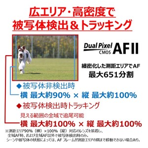 【Canon】 キヤノン ミラーレス カメラ EOS R50 ボディー ホワイト キャノンカメラ_0041C-1