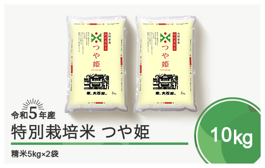 先行予約 令和5年産 米 つや姫 10㎏ 大石田町産 特別栽培米 精米