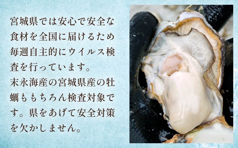 宮城県産 生食用牡蠣 一年子生カキ むき身 1kg かき カキ 剥