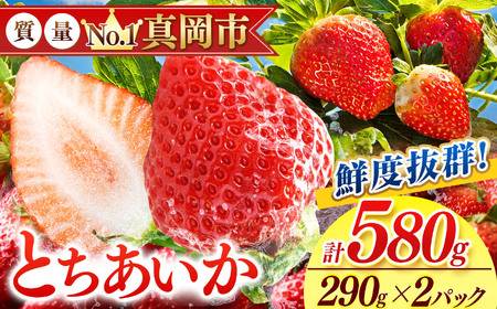 【ふるなびWEEK対象】鮮度抜群 とちあいか 1箱 (約290g×2) 約580g FN-Limited-PR