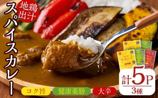 
            大分地鶏豊のしゃも地鶏出汁スパイスカレー(計900g・180g×5パック)レトルト 簡単調理 惣菜 時短 常温 ご当地カレー【112400301】【天峯ファーム】
          