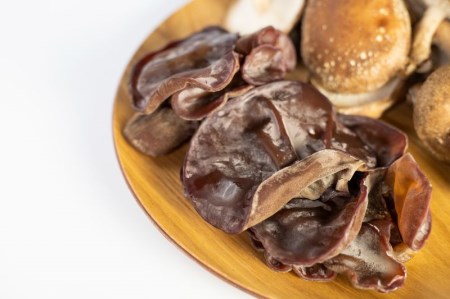 【11月上旬〜3月下旬】菌床しいたけ・生きくらげセット 計1kg 食べ比べ 政木農園 肉厚 椎茸 しいたけ シイタケ キクラゲ 飛騨 簡易包装 訳アリ わけあり ワケアリ 家庭用 大容量 旬 [Q94