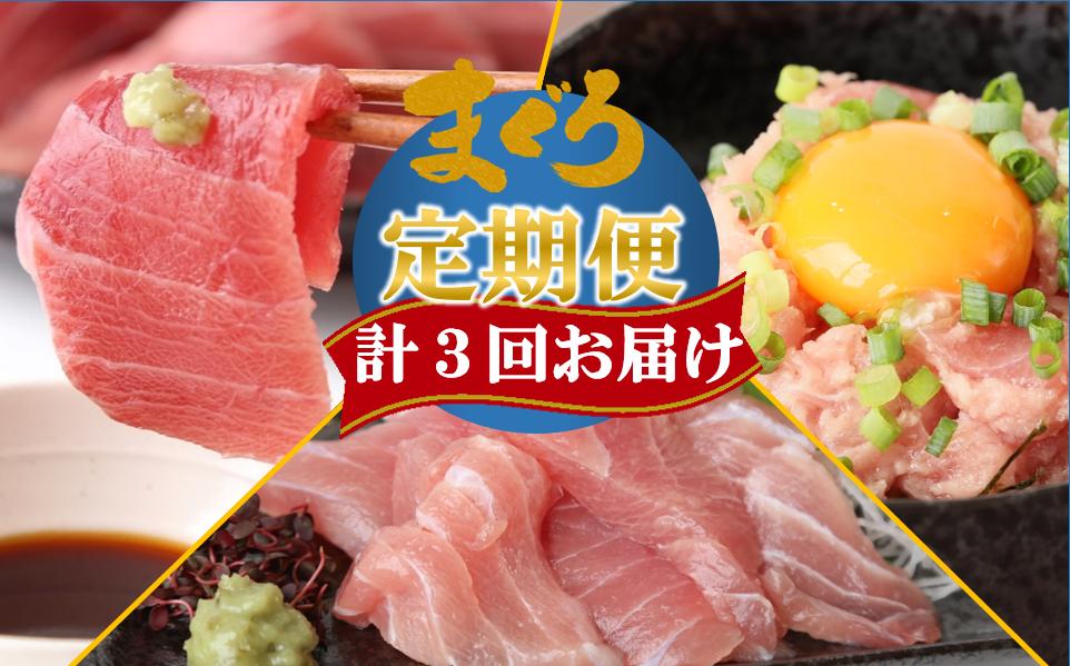 
【計3回お届け】天然マグロ定期便 計1.3㎏（23-4）
