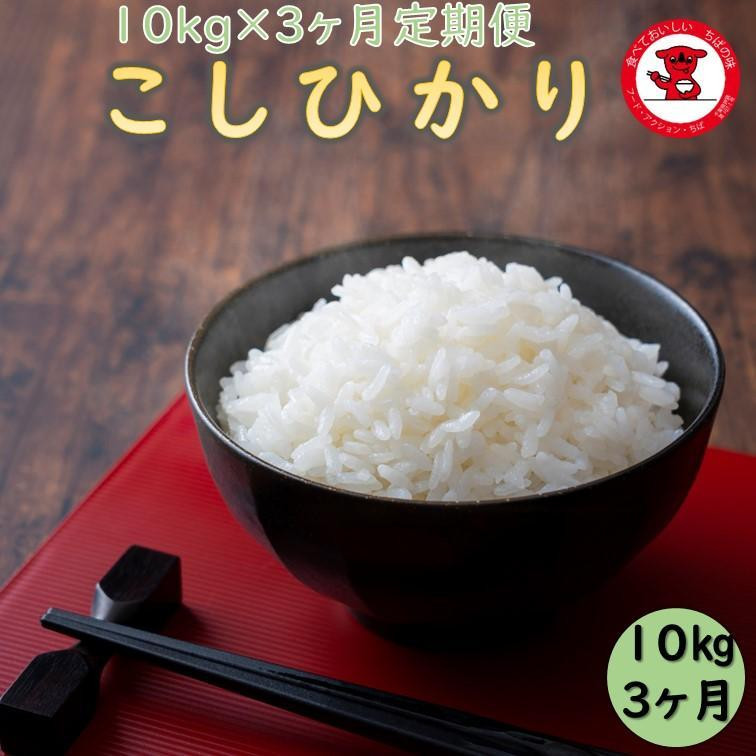 
3カ月 定期便 新米 令和６年産 千葉県産 コシヒカリ 10kg
