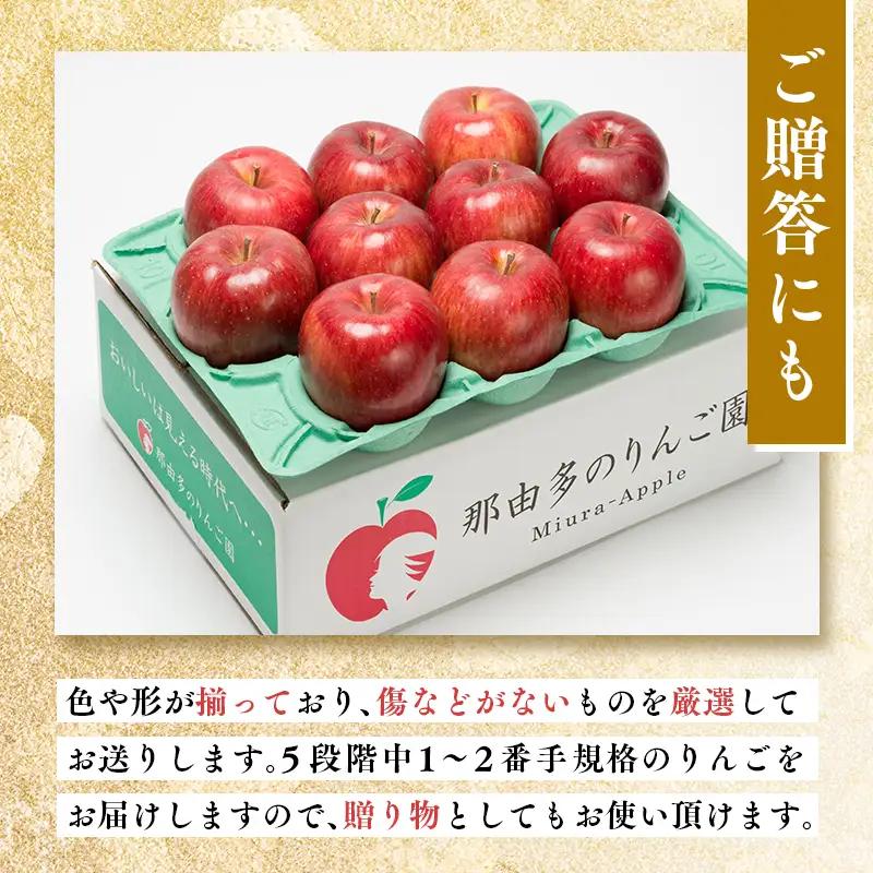 りんご 贈答用 シナノスイート 約3kg [hi-0005-019]