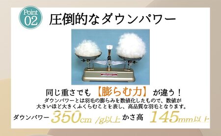 【５色展開】洗える羽毛合い掛け布団シングルダウン90％350dp北欧デザイン羽毛1.2kg洗濯可羽毛布団 ブルー