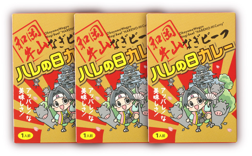 奈義 ビーフカレー 約200g×3パック 計約600g ビーフ カレー レトルトカレー レトルト 牛肉 牛 和牛 なぎビーフ 奈義町 岡山県産 国産牛 国産