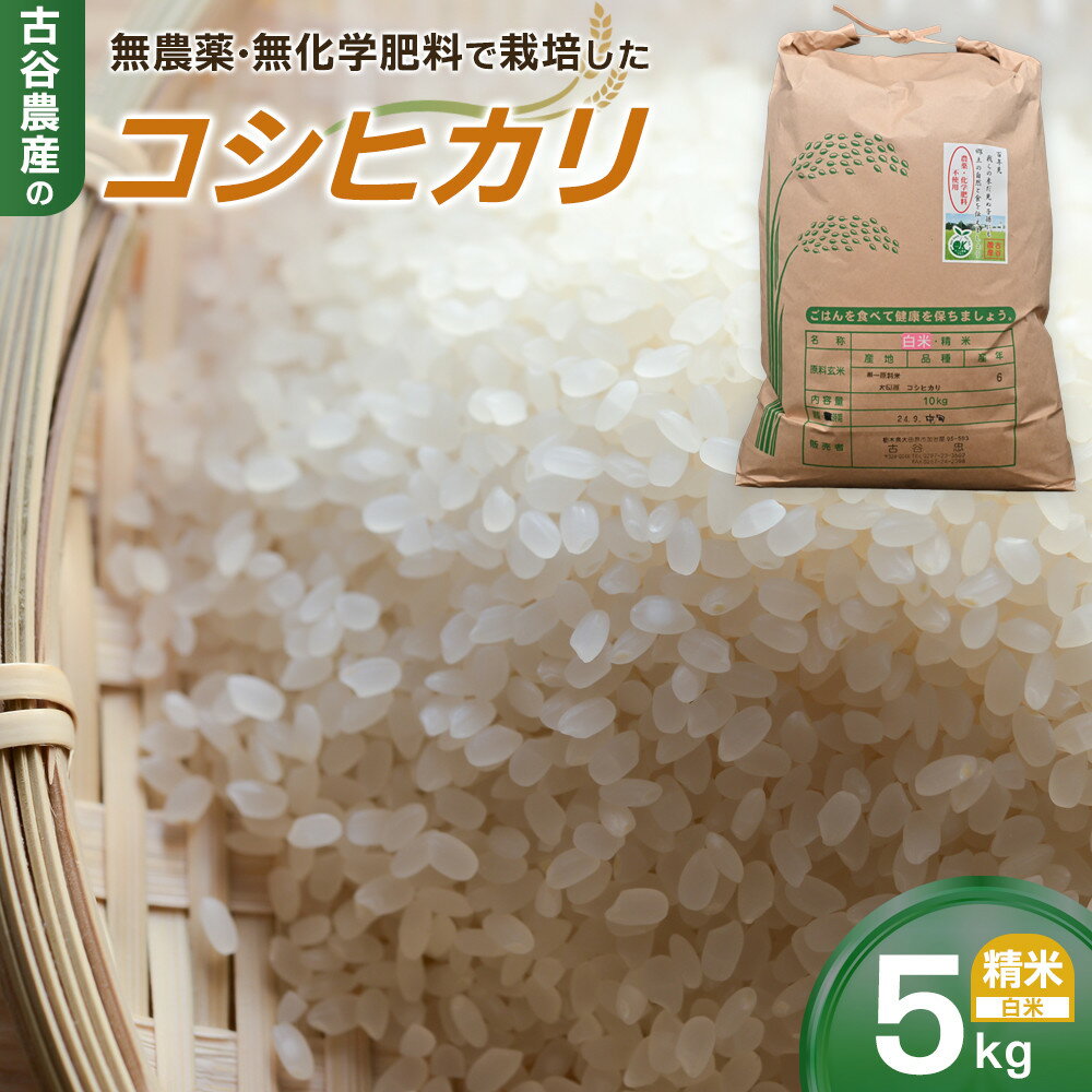 【ふるさと納税】【令和7年産米】古谷農産の無農薬・無化学肥料で栽培したコシヒカリ（精米5キロ） ｜米 コメ 白米 5kg コシヒカリ こしひかり 農家直送 産地直送 産直 | お米 こめ 白米 食品 人気 おすすめ 送料無料