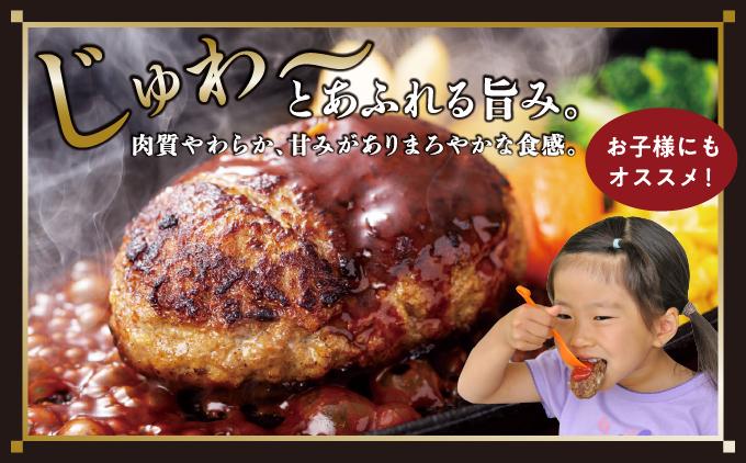 【美ら島あぐ～】冷凍ハンバーグ（12個入り）
