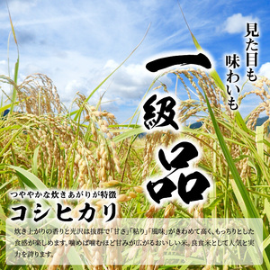 令和7年度産  近江米「コシヒカリ」 5kg　 AD-0060