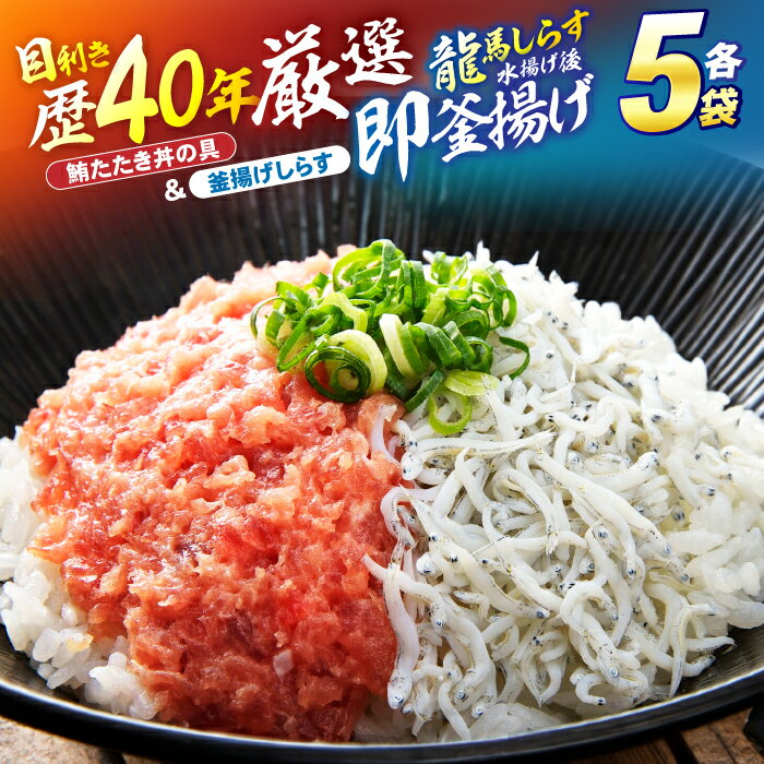 【ふるさと納税】【年内発送対象】【最速発送】龍馬しらすと鮪たたきの紅白丼 【株式会社 七和】[ATAX006]　スピード 最短 最速 発送