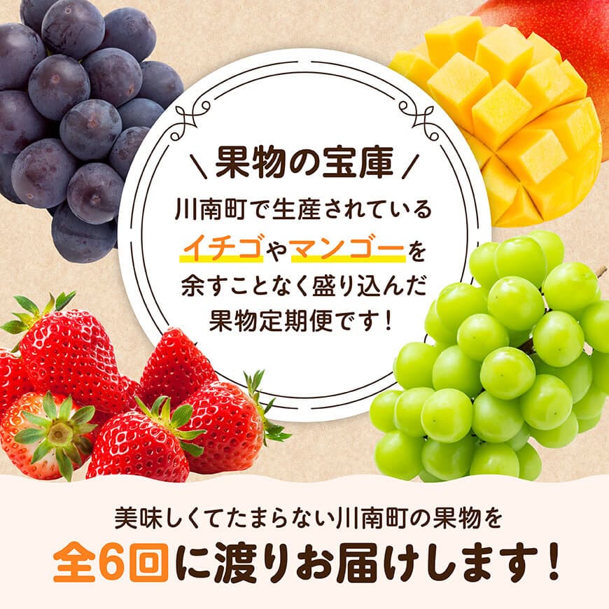 【全6回定期便】【いいとこどり】大人気くだもの定期便　川南町産フルーツくだものいちごフルーツくだもの完熟マンゴーフルーツ果物ぶどうフルーツ果物ビオーネフルーツシャインフルーツマスカットフルーツ[D11