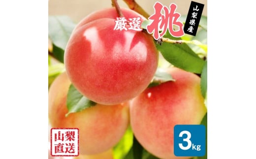 【2026年発送★先行予約】厳選!!池田青果の桃　3kg　8～13玉 173-005-26y