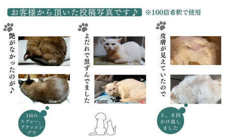 ペット用 犬 猫 全てのペット 日常のお手入れ 様々なお悩みに【あらいはま美容原液】クマ笹主体の希釈用原液 舐めても大丈夫 漢方薬局推奨品