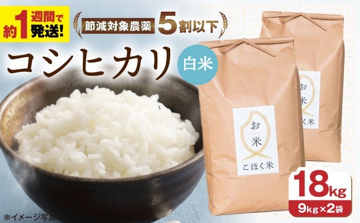 
                  【スピード発送】〈令和7年産米〉湖北産 コシヒカリ(白米) 18kg お米 長浜市/株式会社エース物産[AQAK006] 米 お米 白米 米 精米 白米 はくまい こめ こしひかり 米18kg 精米 ブランド米 国産 湖北産 滋賀県産 滋賀県 長浜市
                