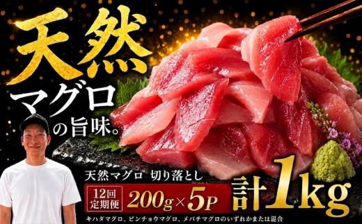 【12回定期便】天然マグロ切り落とし 200g×5P│天然マグロ 切り落とし 刺身 マグロ丼 冷凍 高知県 ふるさと納税 キハダマグロ ビンチョウマグロ メバチマグロ 海鮮 お取り寄せ グルメ 時短 簡単調理 解凍するだけ 一口サイズ 手巻き寿司 具材 ユッケ カルパッチョ 漬け丼 おかず おつまみ ギフト 贈答 贅沢 人気 おすすめ 産地直送 新鮮 晩酌 魚介