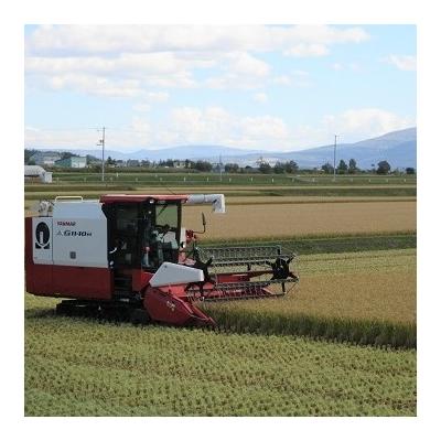 ふるさと納税 秩父別町 【先行受付】令和7年産ななつぼし&ゆめぴりか定期便80kg(毎月)【R7UD-02】 |  | 03