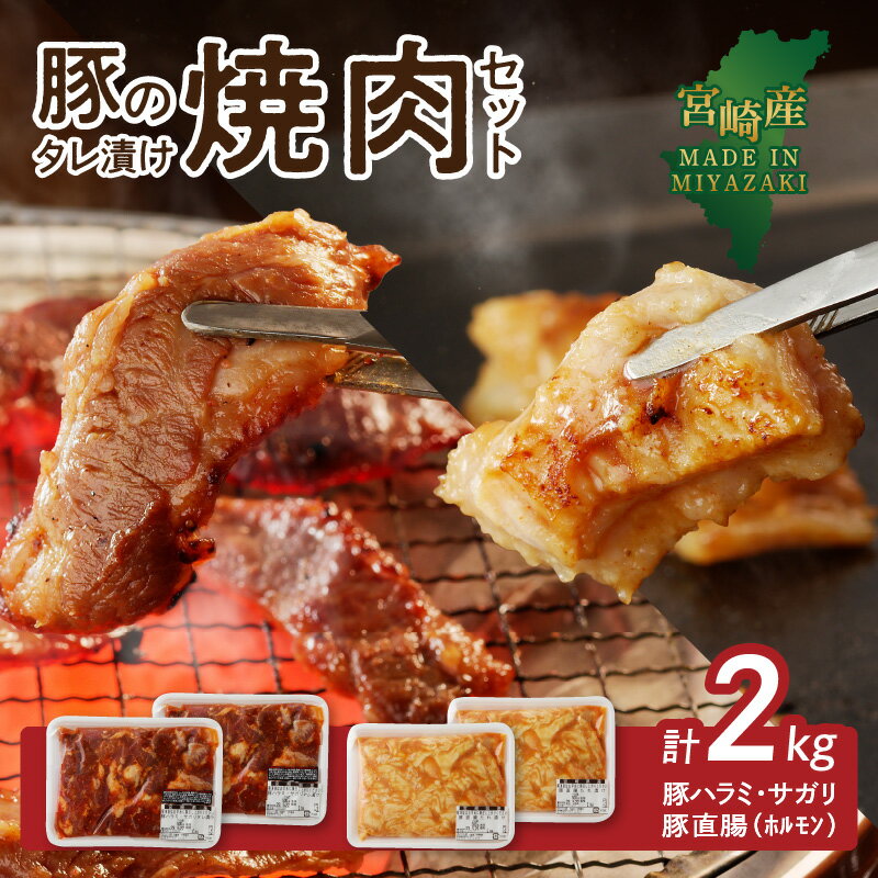 【ふるさと納税】豚 ハラミ サガリ ホルモン タレ漬け セット 各1kg 計2kg 柔らかい 食べやすい こだわりのたれ 旨み 肉厚 直腸 甘め 味噌ダレ 簡単 味付き 焼くだけ 豚肉 焼肉 おつまみ ごはん ごちそう おかず 真空パック お取り寄せ グルメ 宮崎県 延岡市 送料無料