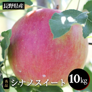 香りも良く食べやすい! 長野県産 りんご シナノスイート 約10kg 秀品 ＜2026年10月中旬～11月中旬発送＞| 長野県 飯田市