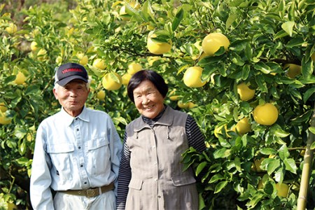 結(ゆい)果樹園の土佐文旦5kg家庭用 文旦 文旦