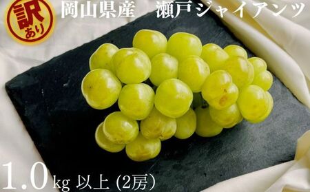 訳ありぶどう 瀬戸ジャイアンツ 2房 合計1.0kg以上  岡山県産 ぶどう
