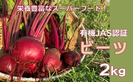 
            有機JAS認証！栄養価の高いスーパーフード！ ビーツ（２㎏）
          