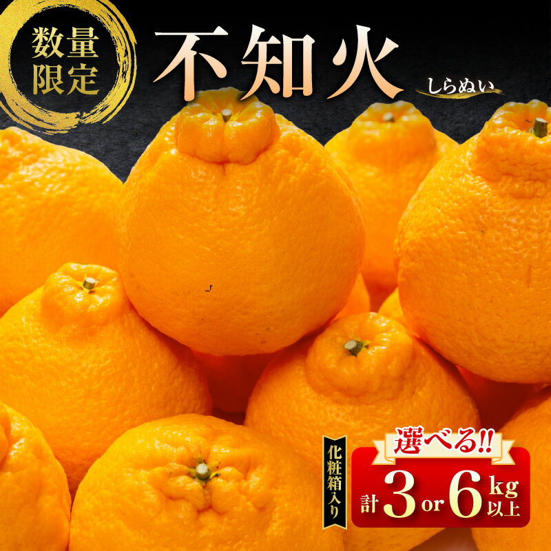 【ふるさと納税】≪内容量が選べる≫ 先行予約 不知火 黒箱 化粧箱入り 期間限定 数量限定 果物 フルーツ くだもの 柑橘 みかん 令和8年発送 みかんジュース デザート おやつ 人気 おすすめ 国産 食品 ギフト 贈り物 贈答 ご褒美 お祝い 記念日 宮崎県 日南市 送料無料