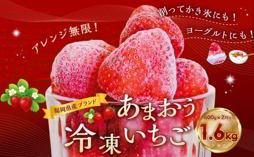 福岡県産ブランド【あまおう】冷凍いちご1600g あまおう いちご イチゴ 苺 果物 くだもの フルーツ 冷凍 岡垣町