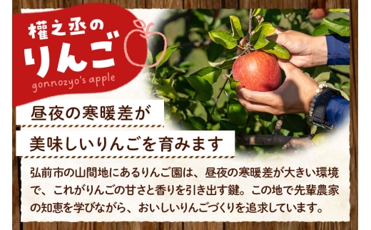 【26年11月中旬発送】りんご×お米セット はれわたり 特別權之丞米【白米】5kg ＆葉とらず コスモふじ【家庭用】約2kg 先行受付 青森県産 權之丞 [先行予約 お米 東北 精米 青森 青森県産 